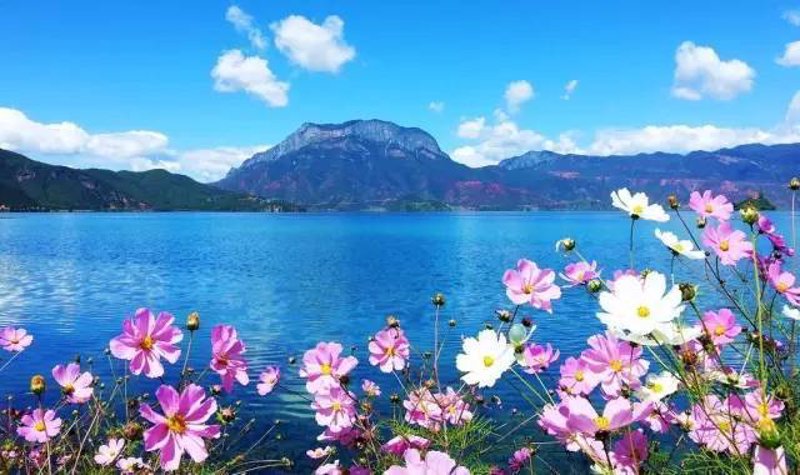 成都讲究定制旅行